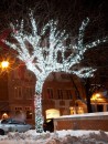 Световая подсветка деревьев "Спайдер-Супер" 6 x 10м Белая